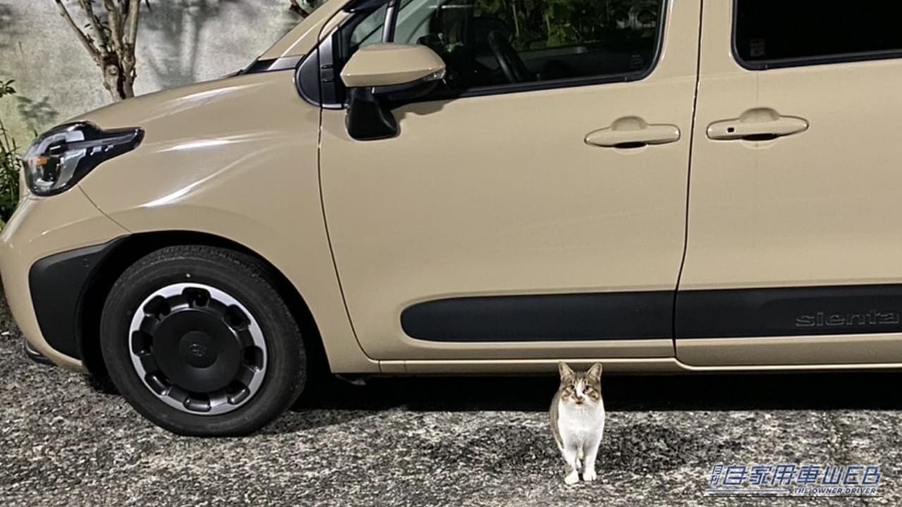 ｜「戦慄した…」夜の駐車場でよく見かける、実はかなり怖い状況。命を落とす危険、想像するだけで痛ましい。