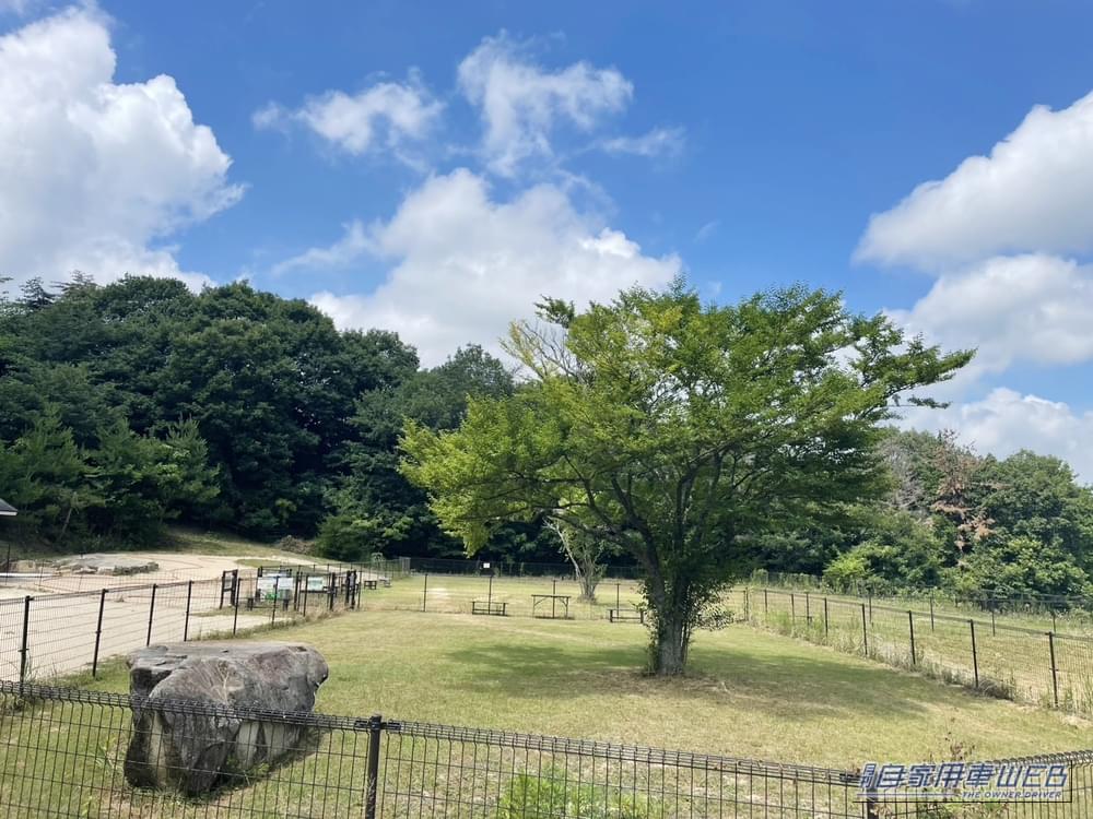 |車中泊旅行にオススメ! 快適に、そして安全に楽しめる「RVパーク」最新情報 【 広島県三原市/RVパーク 遊びの森 グリーンフィールド 】