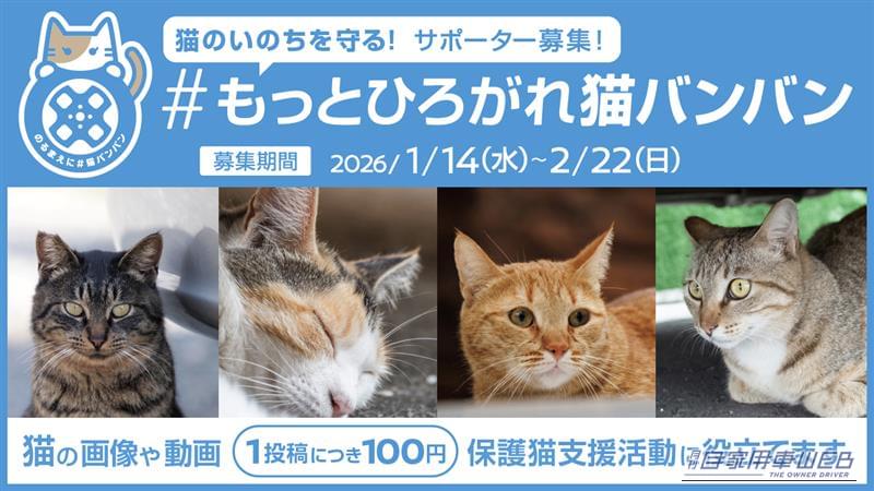 「のるまえに #猫バンバンプロジェクト」｜「猫の写真」を投稿すると100円、愛好家にブッ刺さる神企画！日産の調査によると「駐車場で猫を見たことがある」ひとは全体の約75％