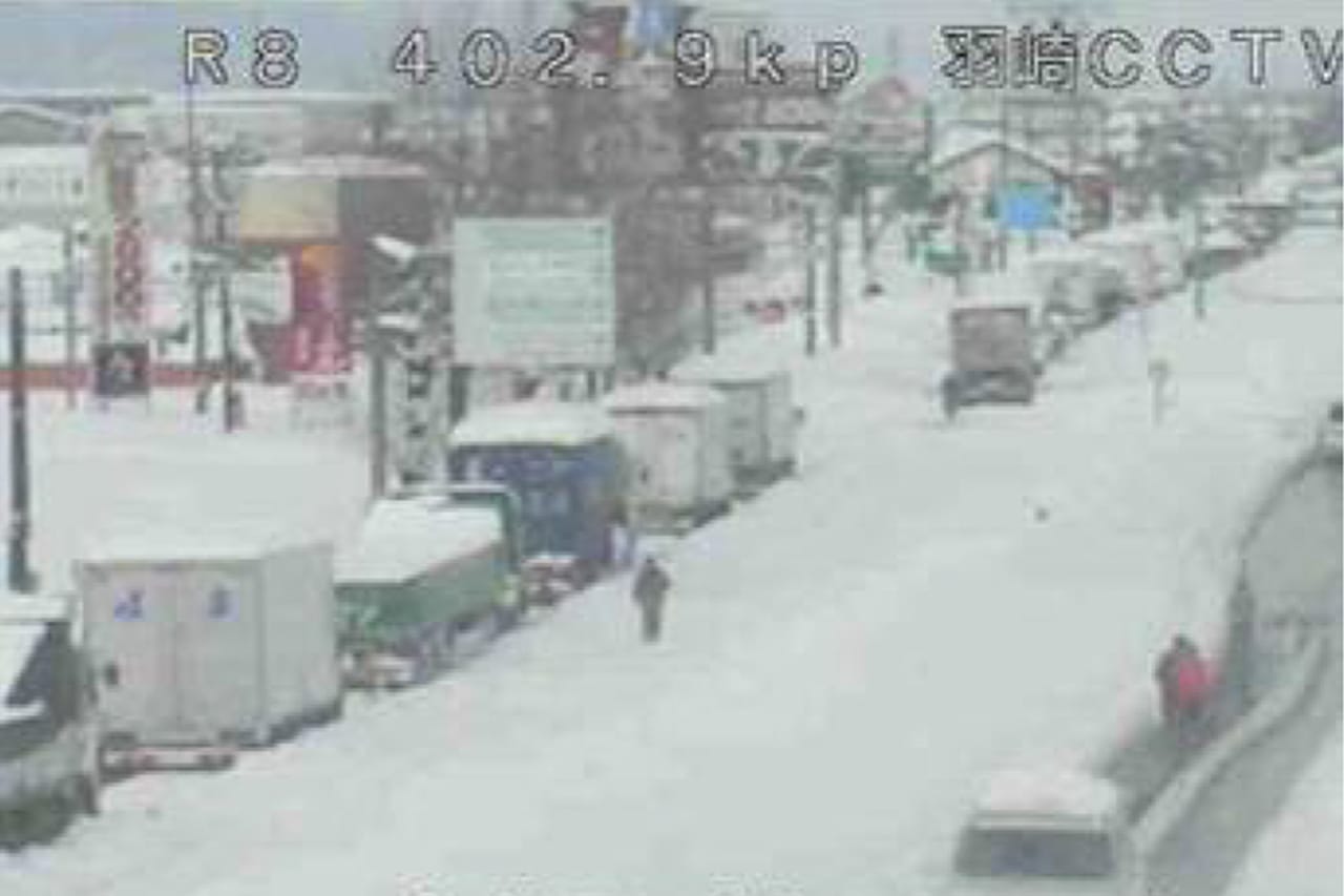 福井県坂井市で、積雪の影響によりクルマやトラックが立ち往生している様子。｜「これはグリップ力高そう…」雪にガッチリ食い込む布製チェーン発見！ 鮮やかカラーでデザイン性も抜群！