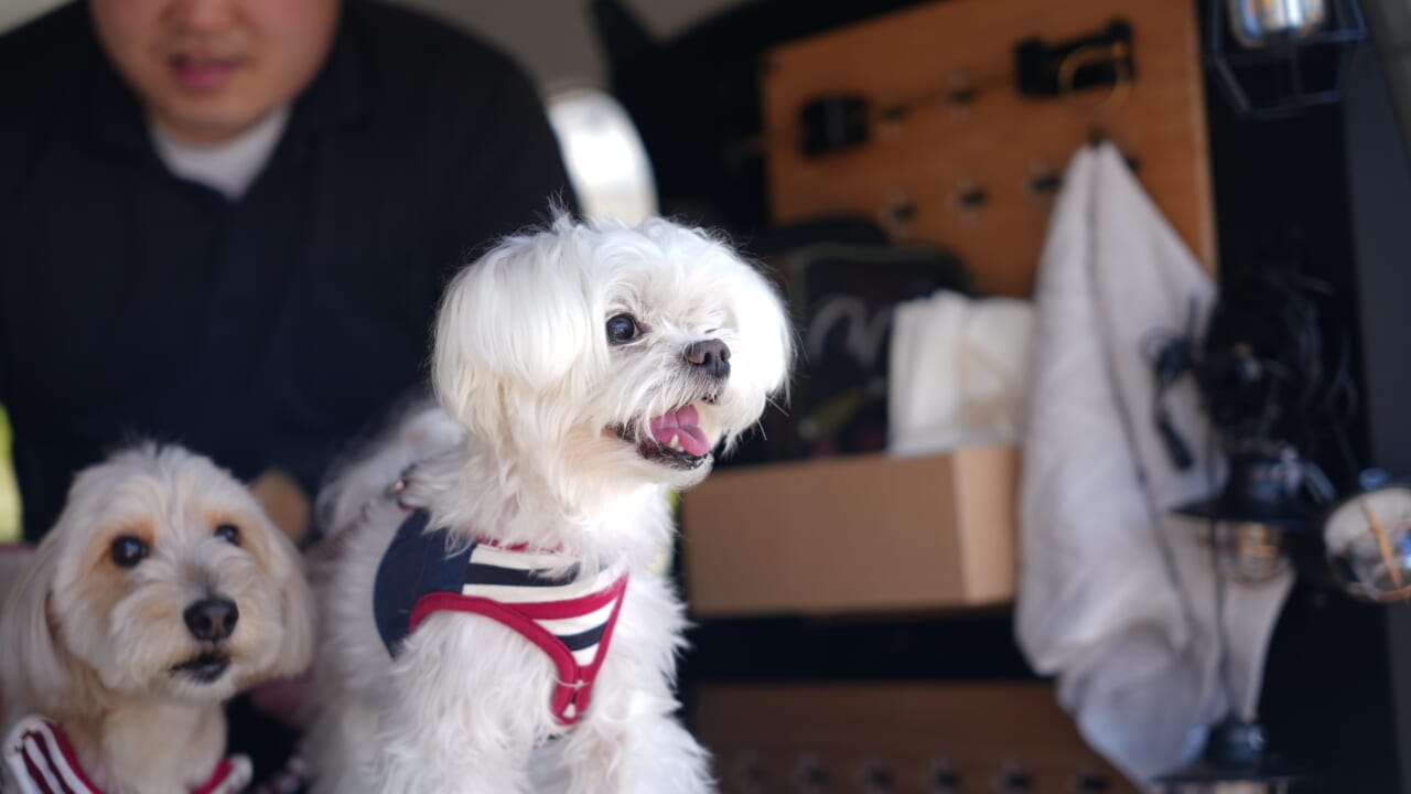 ｜「これは欲しい…」「収納の最終形態」100均で拡張可能、タフで重量物も安心の強度。PC周辺機器やガジェットを配置しても良いかも。