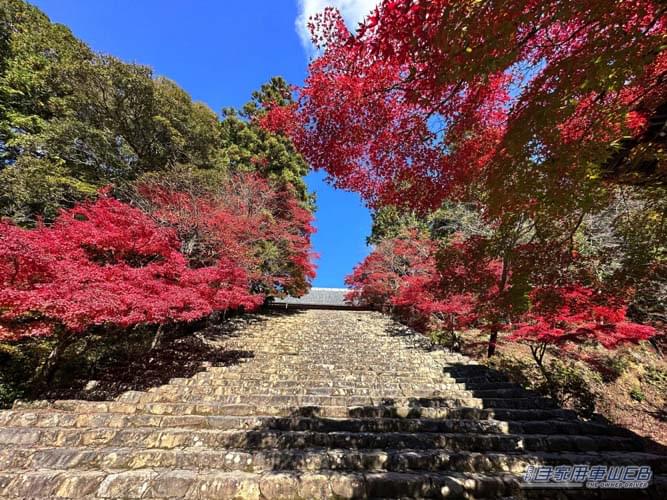 車中泊で気軽に旅をしたい方にオススメ! 快適に、そして安全に楽しめる『RVパーク』最新情報。【京都府京都市/kyoto.takao360 RVパーク】