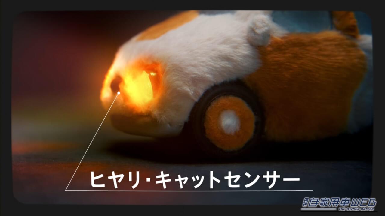 |猫パンチが救いの一手に!イエローハット「全国交通にゃん全運動」で保護猫支援の輪を広げよう