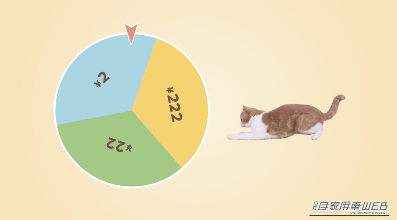 ｜猫パンチが救いの一手に！イエローハット「全国交通にゃん全運動」で保護猫支援の輪を広げよう