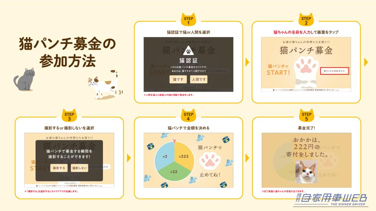 ｜猫パンチが救いの一手に！イエローハット「全国交通にゃん全運動」で保護猫支援の輪を広げよう