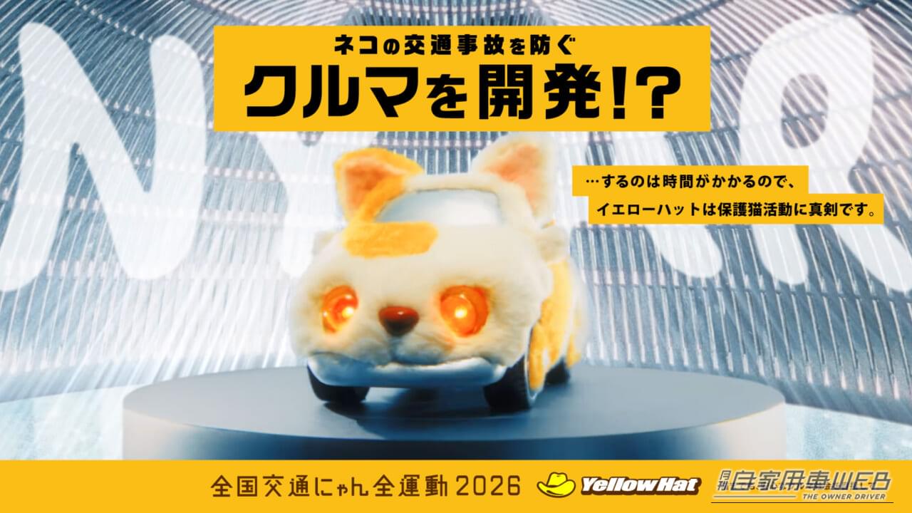 ｜猫パンチが救いの一手に！イエローハット「全国交通にゃん全運動」で保護猫支援の輪を広げよう