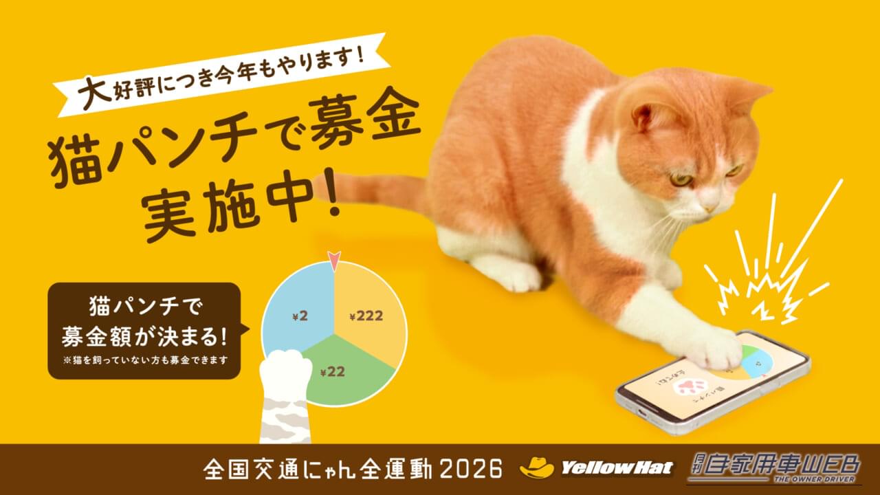 ｜猫パンチが救いの一手に！イエローハット「全国交通にゃん全運動」で保護猫支援の輪を広げよう
