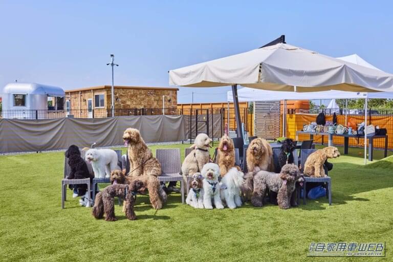 ROSA FIELD|【車中泊旅行におススメ! RVパーク最新情報】「湾岸長島インターからすぐ。愛犬と一緒に楽しめる日本最大級のドッグラン&デイキャンプ施設が魅力」 ~三重県桑名市/ROSA FIELD~