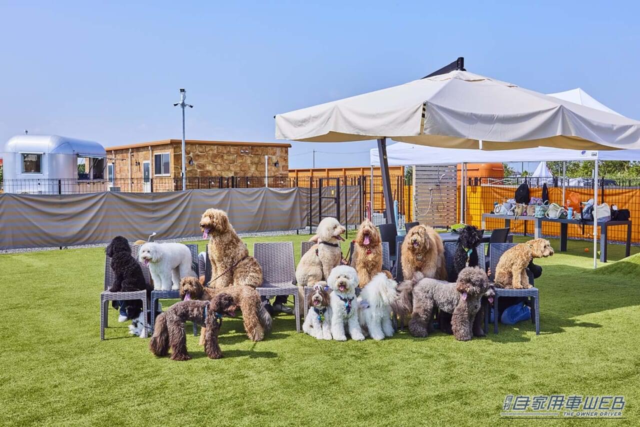 ROSA FIELD｜【車中泊旅行におススメ！ RVパーク最新情報】「湾岸長島インターからすぐ。愛犬と一緒に楽しめる日本最大級のドッグラン＆デイキャンプ施設が魅力」 ～三重県桑名市／ROSA FIELD～