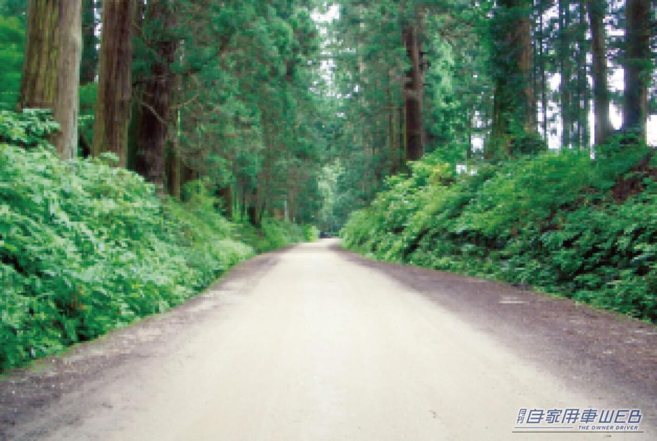 土系舗装｜「普段使ってるのに、こんな歴史があったなんて知らなかった！」かつては”世界最悪”と評された日本の道路が、世界最高レベルになるまでの道のり‼︎