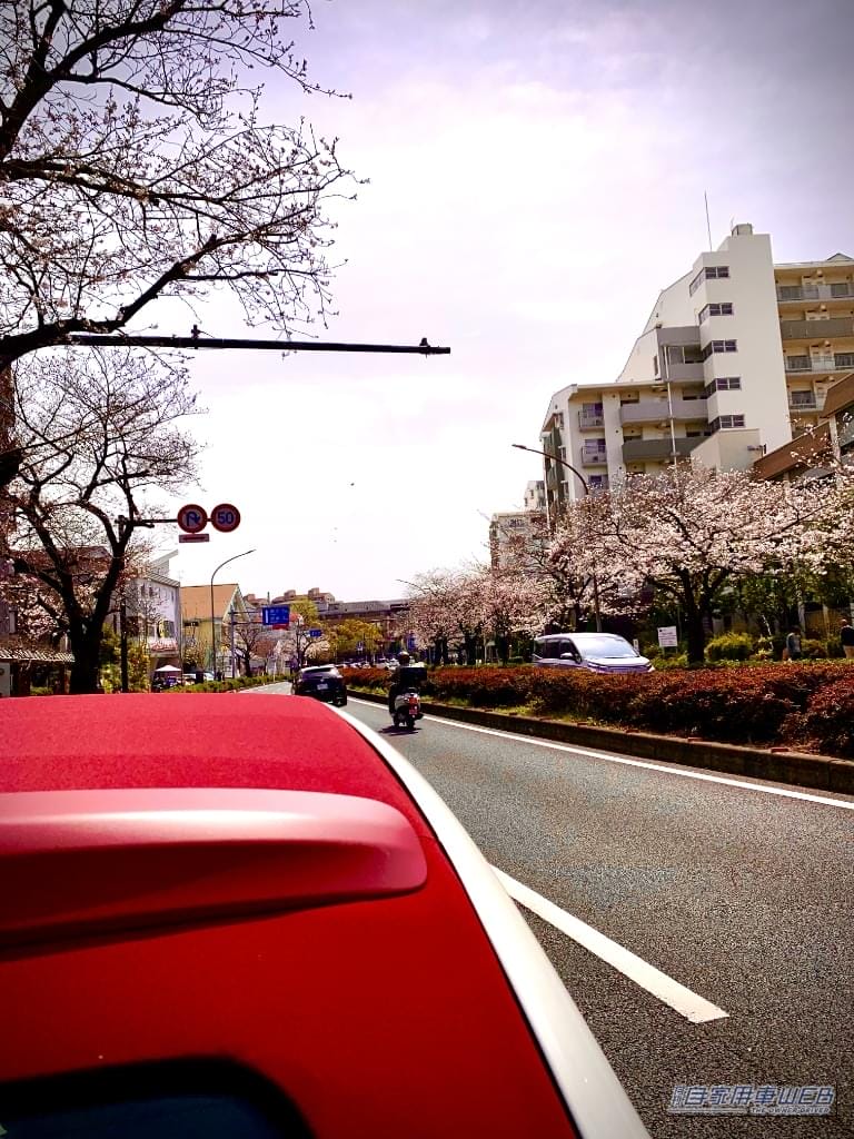 4月の「吉方位旅行」で運気を爆上げする方法