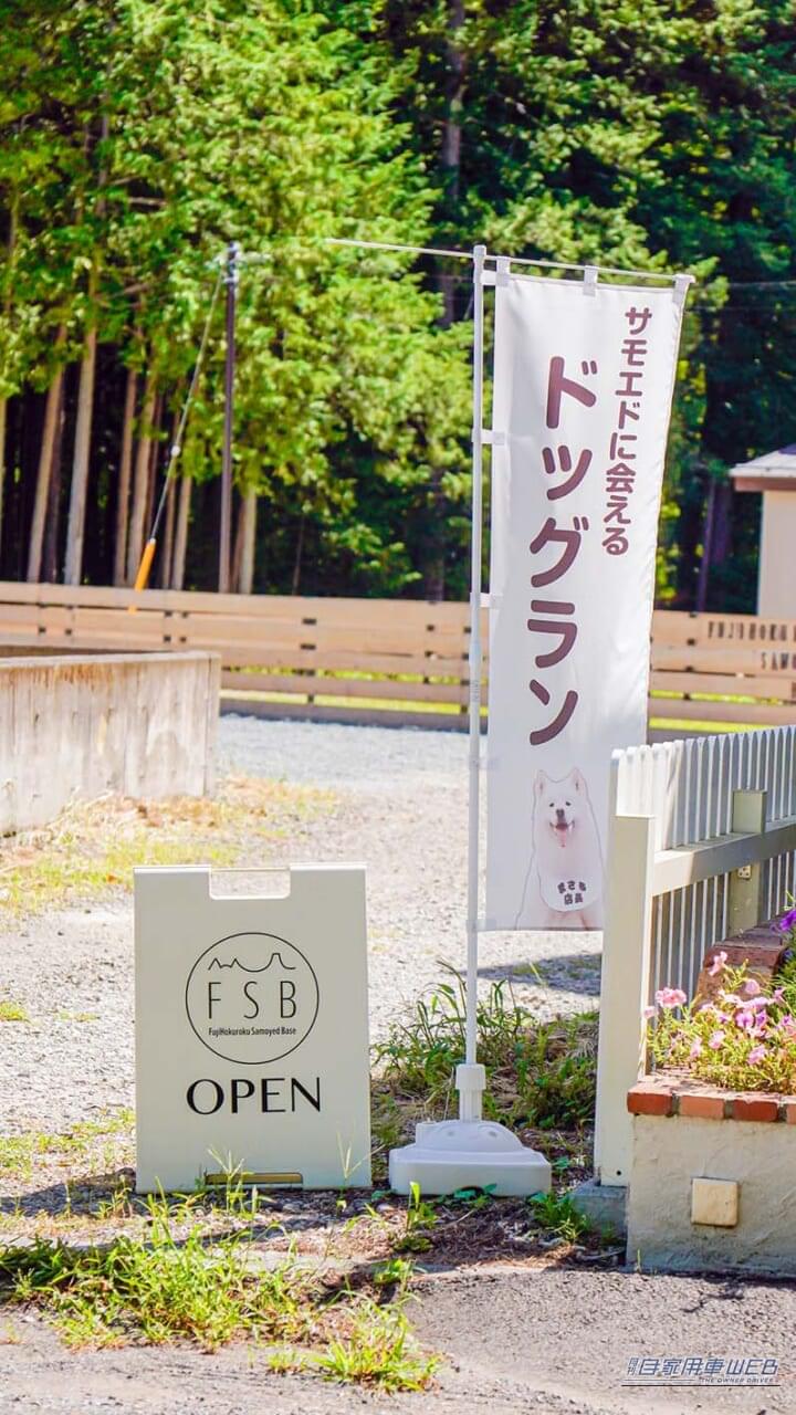 FujihokurokuSamoyedBase|【車中泊旅行におススメ! RVパーク最新情報】「山梨県河口湖にあるサモエドに会える”わんちゃんウェルカム”RVパーク」 ~山梨県南都留郡/FujihokurokuSamoyedBase~