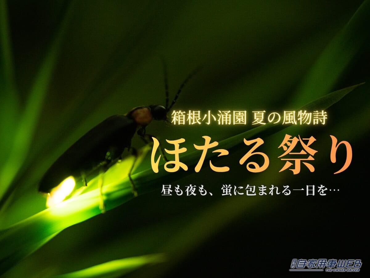 「自生する蛍が静寂の中で舞う幻想的な光景」を楽しめる初夏の風物詩、”箱根小涌園ほたる祭り”を見にいこう！【ドライブにおすすめ観光スポット情報】