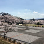 RVパーク オートパークガーデン白山03