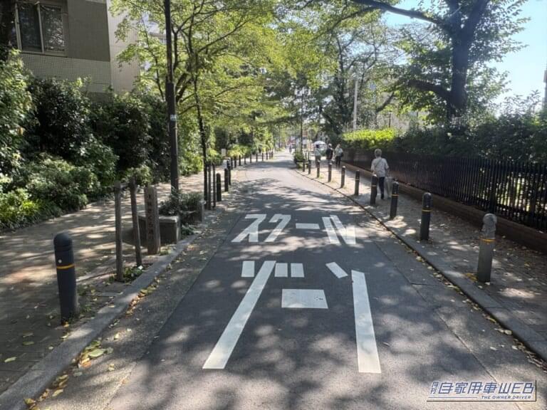 速度を物理的に抑制するシケイン道路|【注意】「住宅街での暴走許さない!」9月1日から、生活道路における自動車の法定速度が30km/hに引き下げられる‼︎