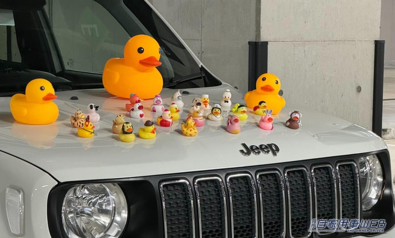 |「Jeepにアヒル」を置くのはなぜ? Jeep Duck(ジープダック)とは?意味や楽しみ方をJeepオーナーに聞いた