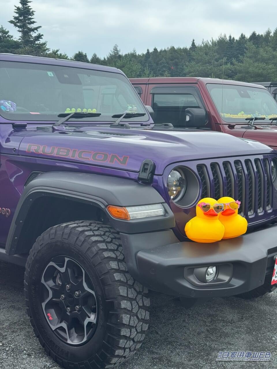 |「Jeepにアヒル」を置くのはなぜ? Jeep Duck(ジープダック)とは?意味や楽しみ方をJeepオーナーに聞いた