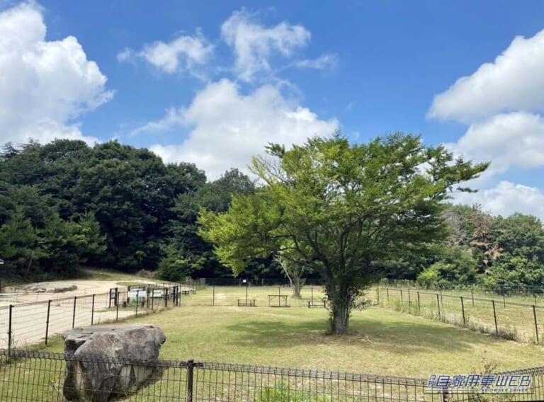 RVパーク 遊びの森グリーンフィールド|「車中泊で“里山”へ行こう!」 はじめての方でも安心して利用できるRVパーク特選情報 【広島県/RVパーク 遊びの森グリーンフィールド】~豊かな自然に囲まれた里山に位置するるRVパーク~