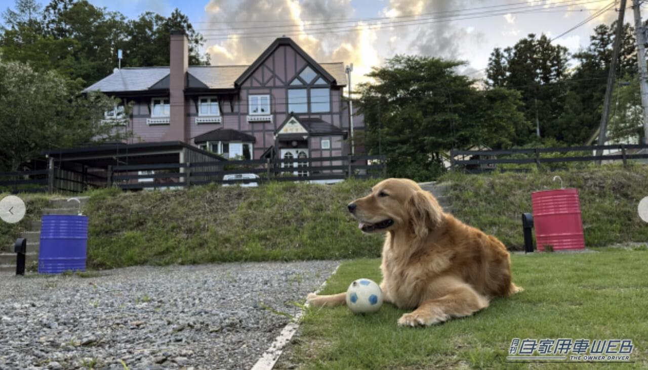 RVパーク Chillin Chillin Park in ZAO|「車中泊デビューしたい方にオススメ!」はじめての方でも安心して利用できるRVパーク・特選情報 【宮城県/ RVパーク Chillin Chillin Park in ZAO 】